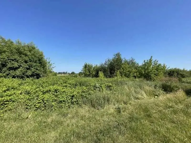Фото Продаю земельну ділянку, Пасічанська вул.  Пухівка, ціна: 435071 UAH, код 6429