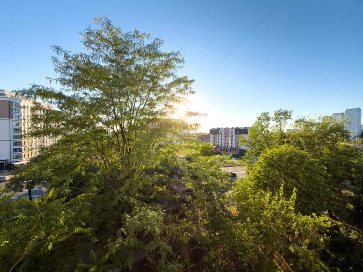 Фото Продаю 1 кімнатну квартиру, 36 кв. м, Райдужна вул. 69 Київ, ціна: 48000 USD, код 6437