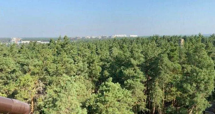 Фото Продаю 2-комнатную квартиру, 83 кв. м, 9-я Линия ул.  Ирпень, цена: 80000 USD, код 6442