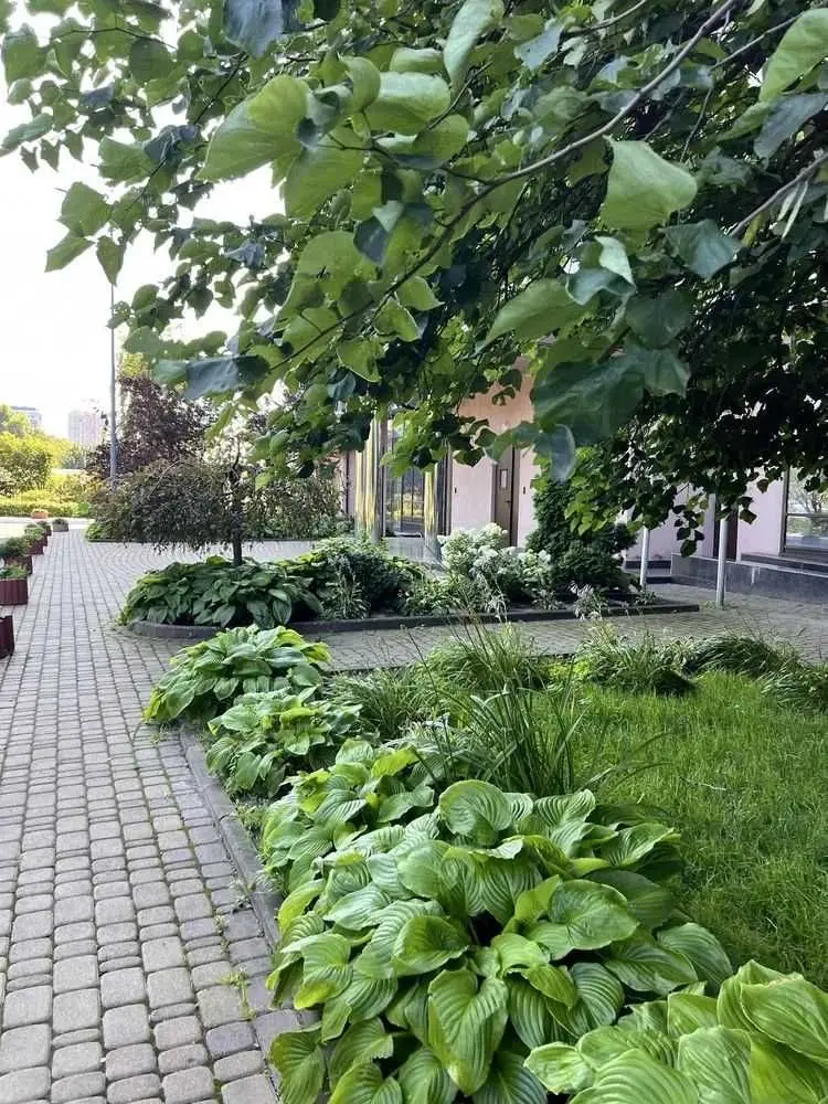 Фото Снять 2-комнатную квартиру, Дегтяревская ул.  Киев в долгосрочную аренду, цена: 28000 UAH, код 6458