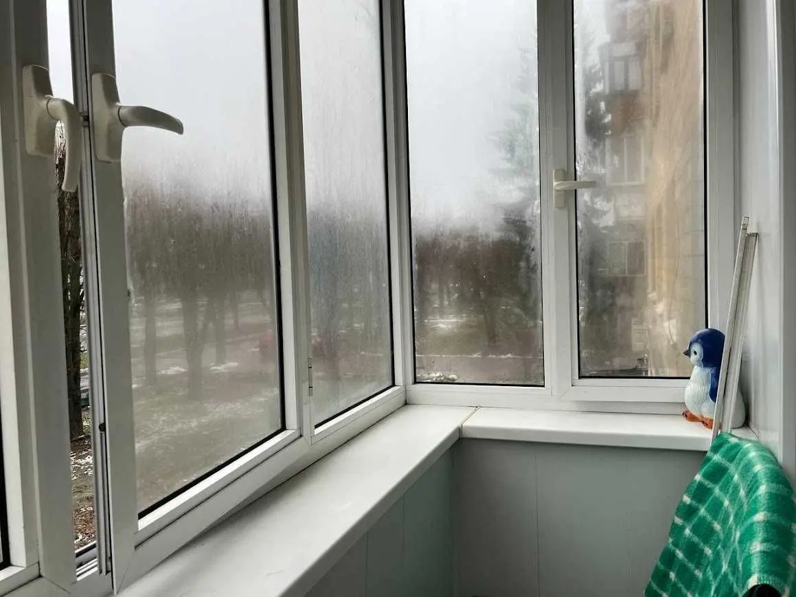 Фото Продаю 1-комнатную квартиру, 29 кв. м, Героїв України ул. (Гагарина) 10 Бровары, цена: 36000 USD, код 6536