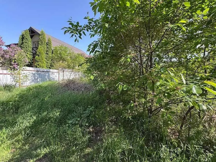 Фото Продаю земельный участок, Українська ул.  Старі Петрівці, цена: 52000 USD, код 6614