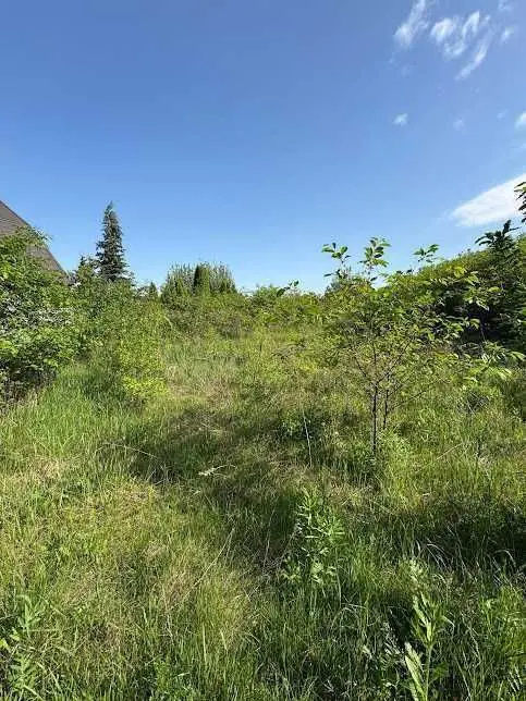 Фото Продаю земельный участок, Українська ул.  Старі Петрівці, цена: 52000 USD, код 6614