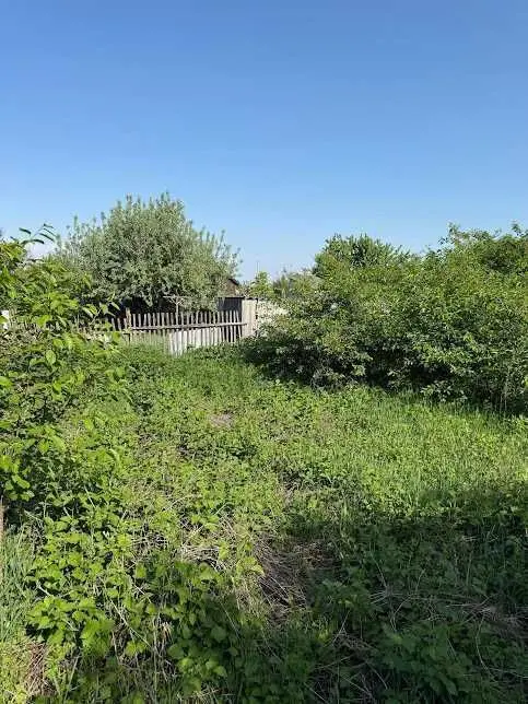 Фото Продаю земельный участок, Українська ул.  Старі Петрівці, цена: 52000 USD, код 6614