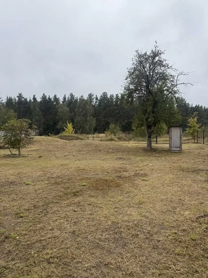 Фото Продаю будинок, 98 кв. м, Плесецьке, ціна: 85000 USD, код 6616