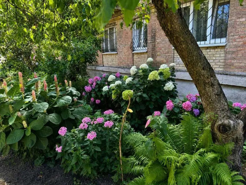 Фото Продаю 1-комнатную квартиру, 34 кв. м, Строителей ул. 8 Киев, цена: 33000 USD, код 6636