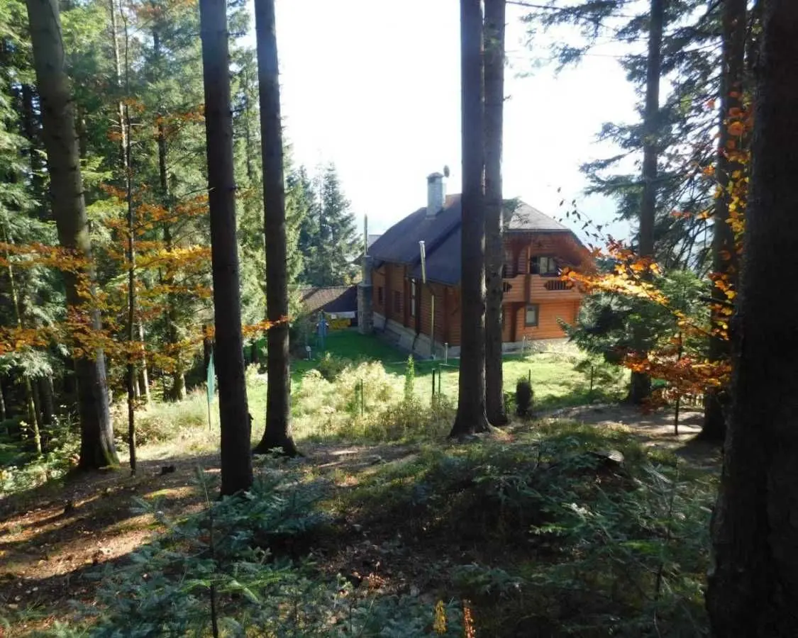 Фото Продаю будинок, 316 кв. м, Бориславська вул. 37 Східниця, ціна: 650000 USD, код 6670