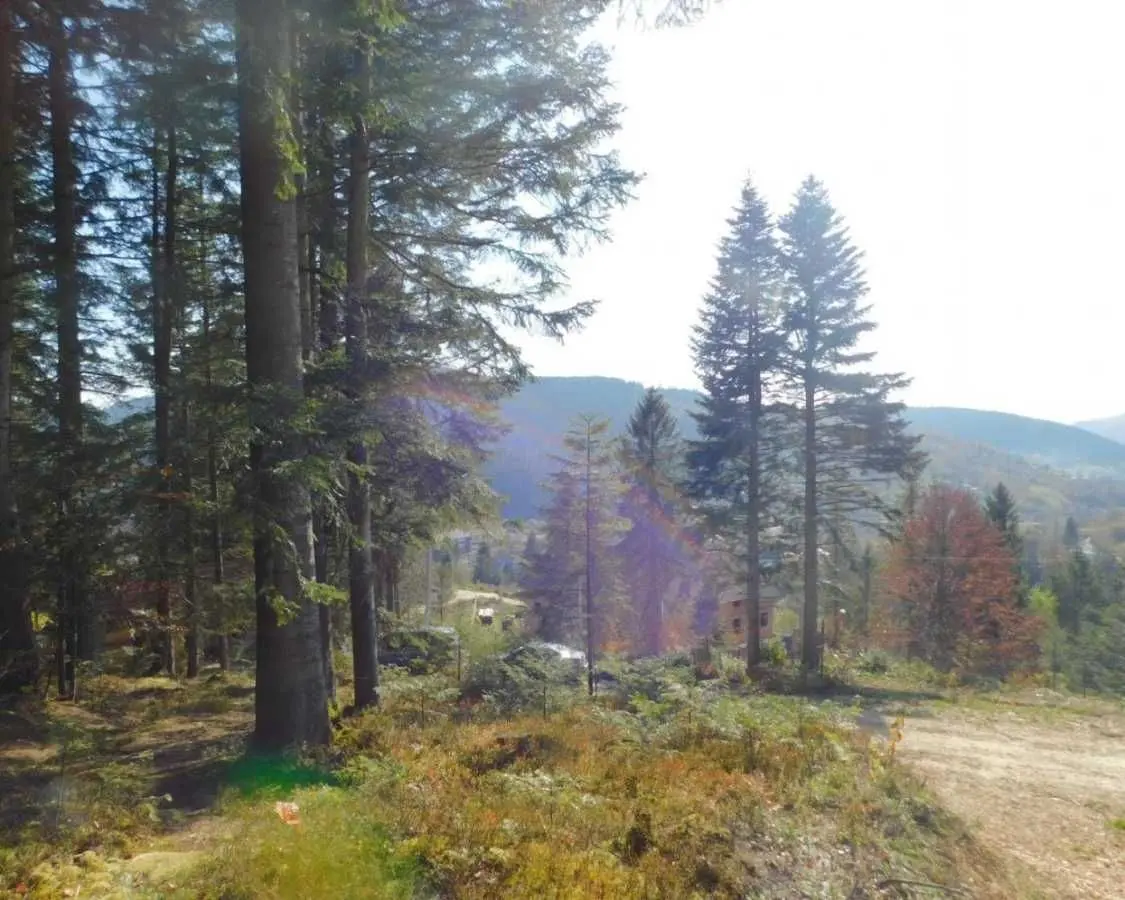 Фото Продаю будинок, 316 кв. м, Бориславська вул. 37 Східниця, ціна: 650000 USD, код 6670