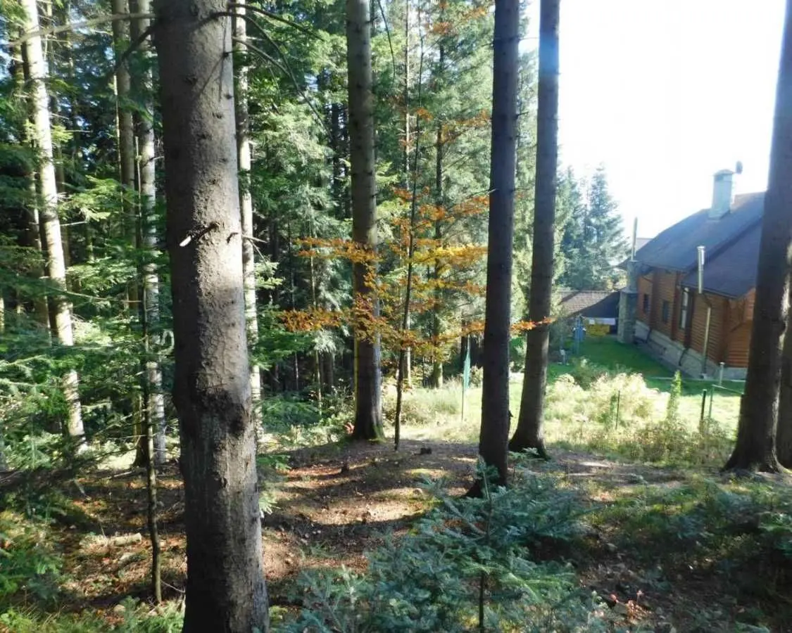 Фото Продаю будинок, 316 кв. м, Бориславська вул. 37 Східниця, ціна: 650000 USD, код 6670