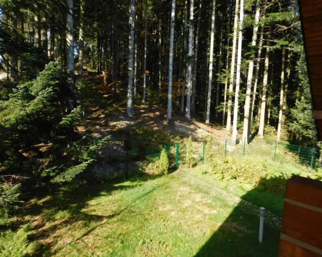 Фото Продаю будинок, 316 кв. м, Бориславська вул. 37 Східниця, ціна: 650000 USD, код 6670