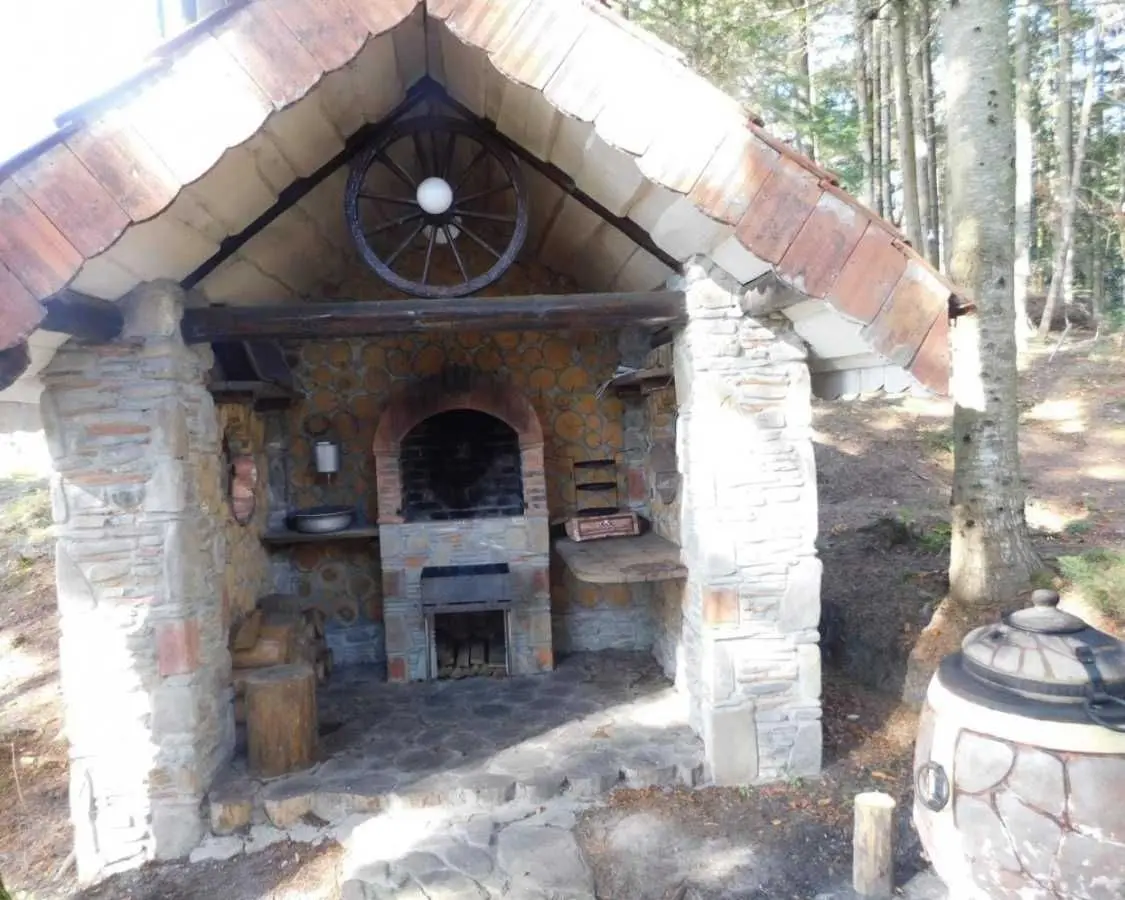 Фото Продаю будинок, 316 кв. м, Бориславська вул. 37 Східниця, ціна: 650000 USD, код 6670