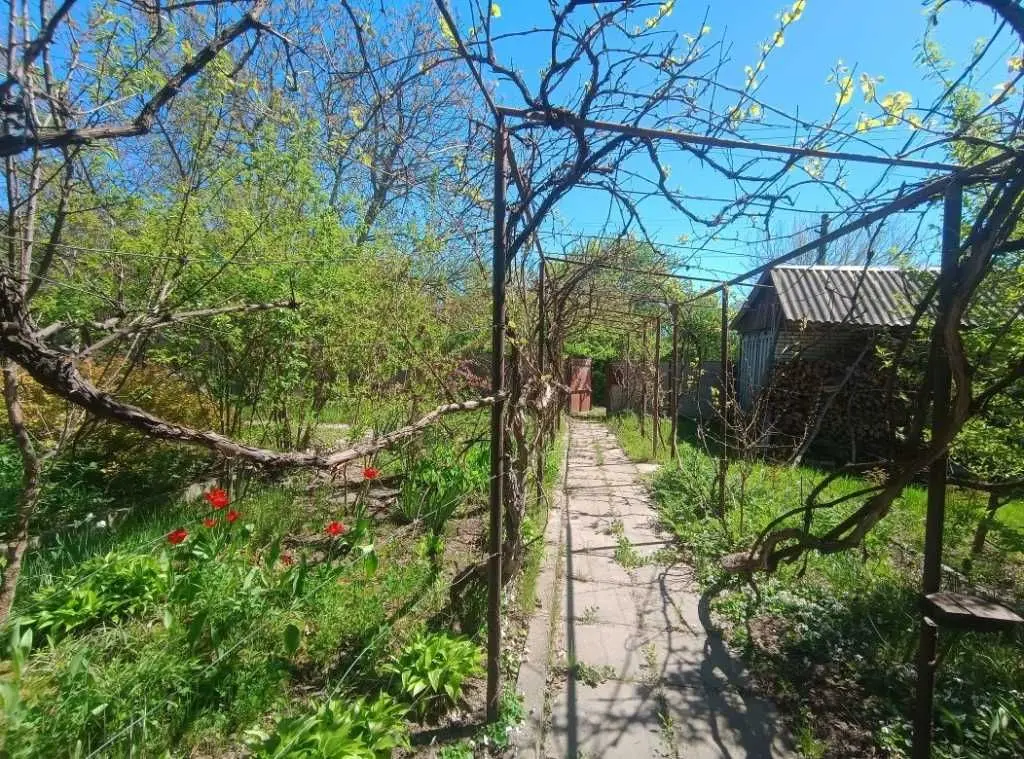 Фото Продаю будинок, 65 кв. м, Хлепча, ціна: 63000 USD, код 6693