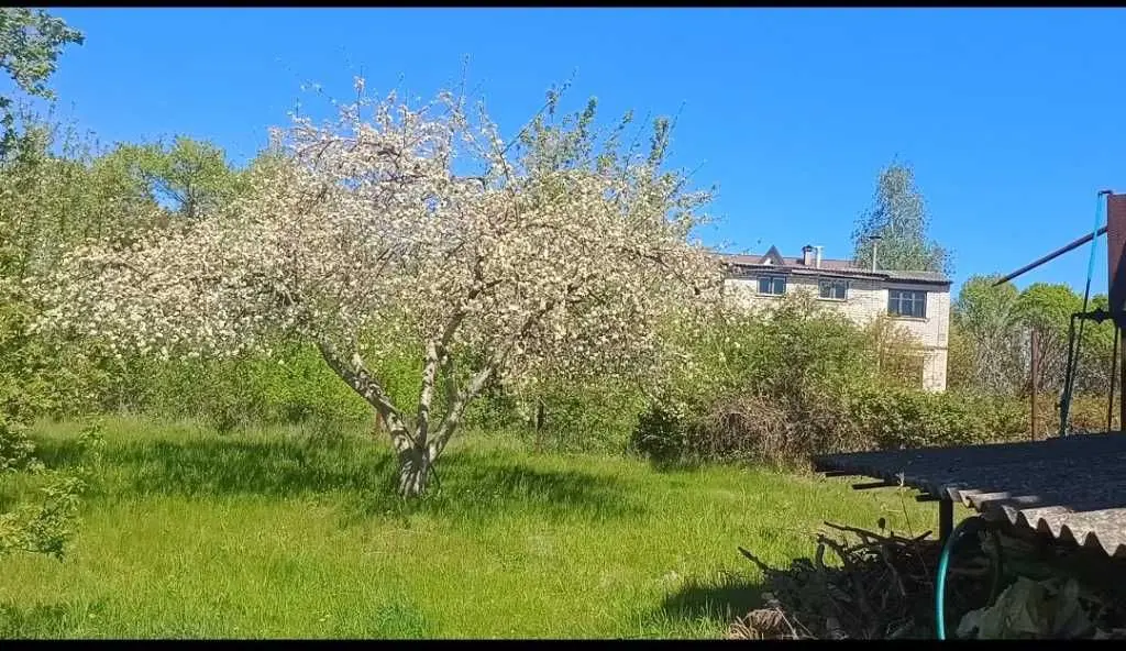 Фото Продаю будинок, 65 кв. м, Хлепча, ціна: 63000 USD, код 6693