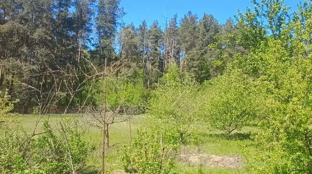 Фото Продаю будинок, 65 кв. м, Хлепча, ціна: 63000 USD, код 6693