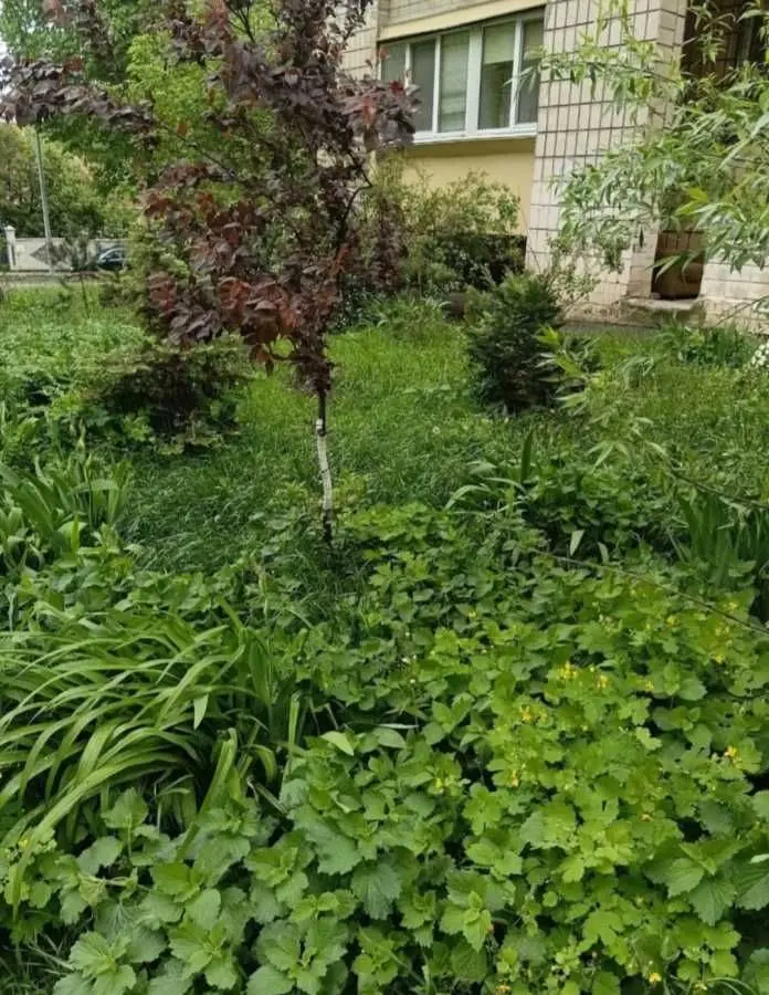 Фото Продаю 3 кімнатну квартиру, 72 кв. м, Олекси Тихого вул. (Виборзька) 23 Київ, ціна: 92500 USD, код 6734
