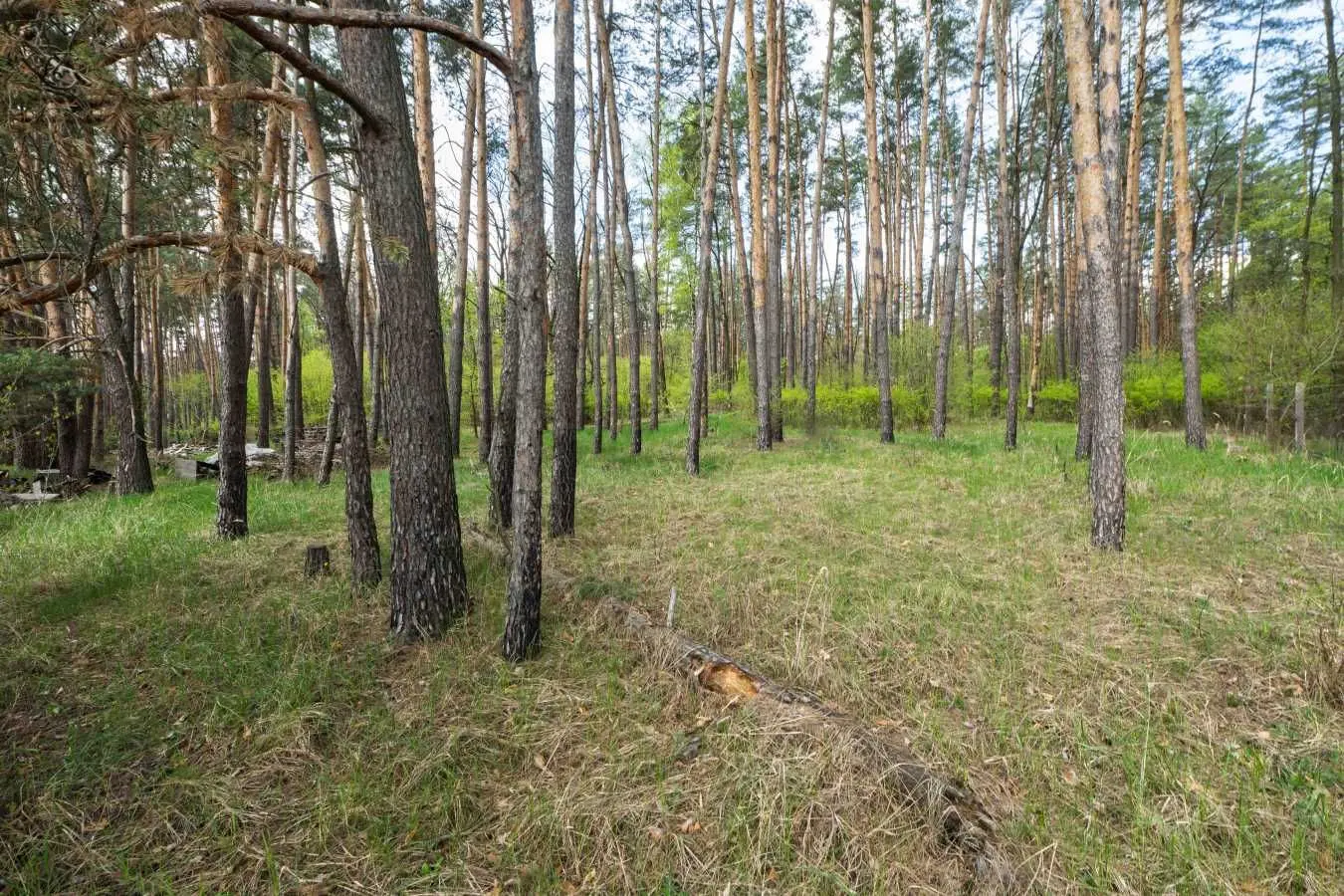 Фото Продаю будинок, 113 кв. м, Зелена вул.  Ірпінь, ціна: 195000 USD, код 6775