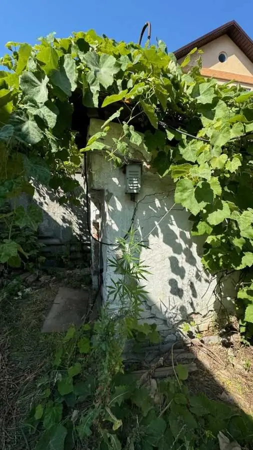 Фото Продаю будинок, 94 кв. м, Богданівський пров.  Велика Димерка, ціна: 40000 USD, код 6827