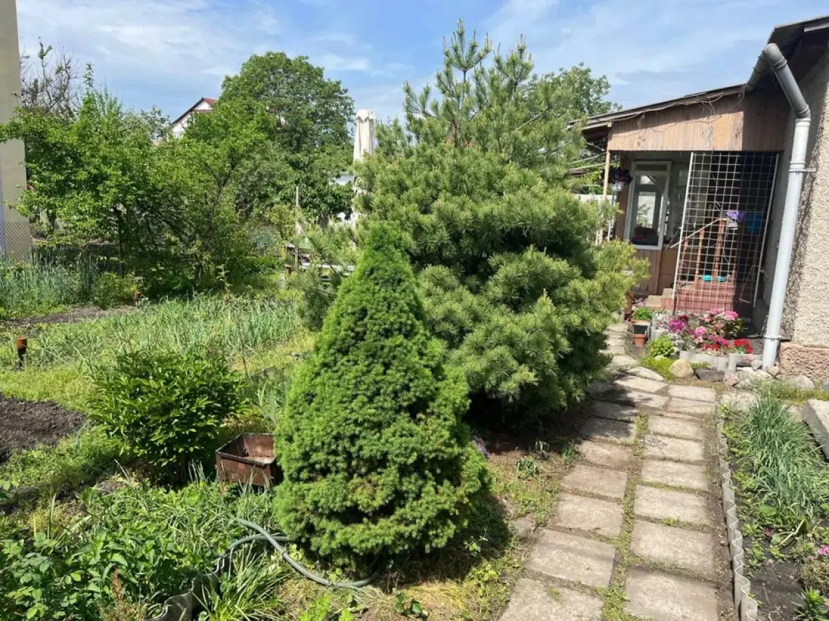Фото Продаю земельну ділянку, Центральна вул.  Київ, ціна: 50000 $, код 6883