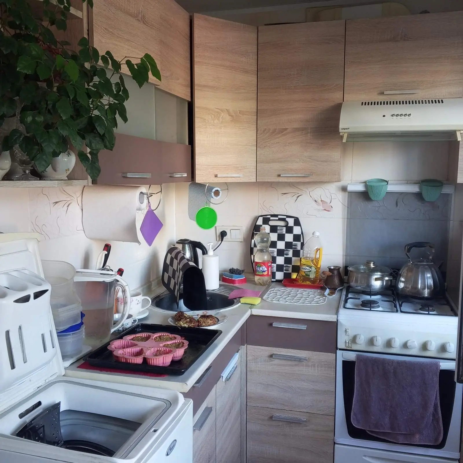 Фото Зняти 2 кімнатну квартиру, Верховної Ради бульв. 24 Київ в довгострокову оренду, ціна: 4500 UAH, код 6891