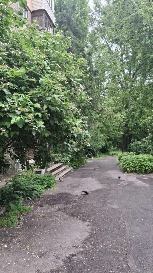 Фото Selling a 1-room apartment, 31 sq.m., Henerala Henadiia Vorobiova Street (Kurska street) 4/1 Kyiv, price: 45000 USD, code 6921