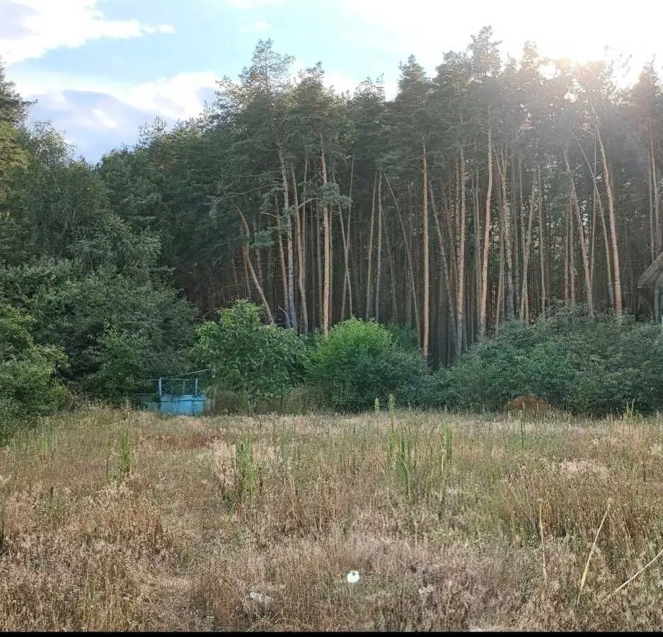 Фото Продаю будинок, 168 кв. м, Цвілія вул.  Лютіж, ціна: 140000 USD, код 6942
