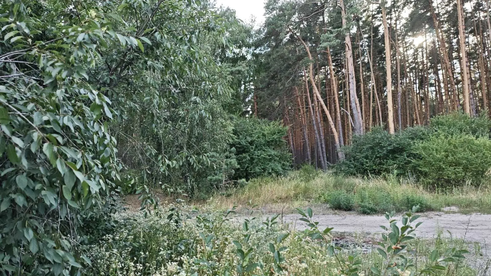 Фото Продаю будинок, 168 кв. м, Цвілія вул.  Лютіж, ціна: 140000 USD, код 6942