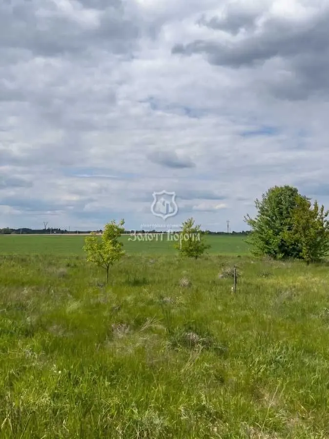 Фото Selling a land plot, Lychanka, price: 12000 USD, code 6953