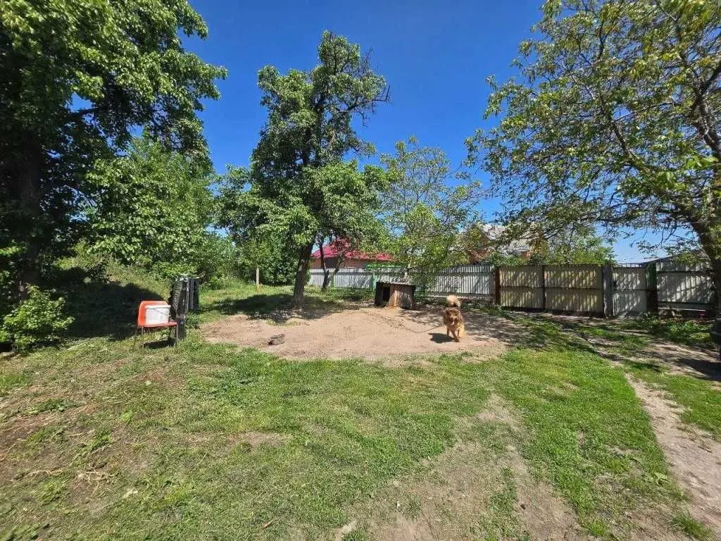 Фото Продаю 3 кімнатну квартиру, 70 кв. м, Путрівка, ціна: 48000 USD, код 7001