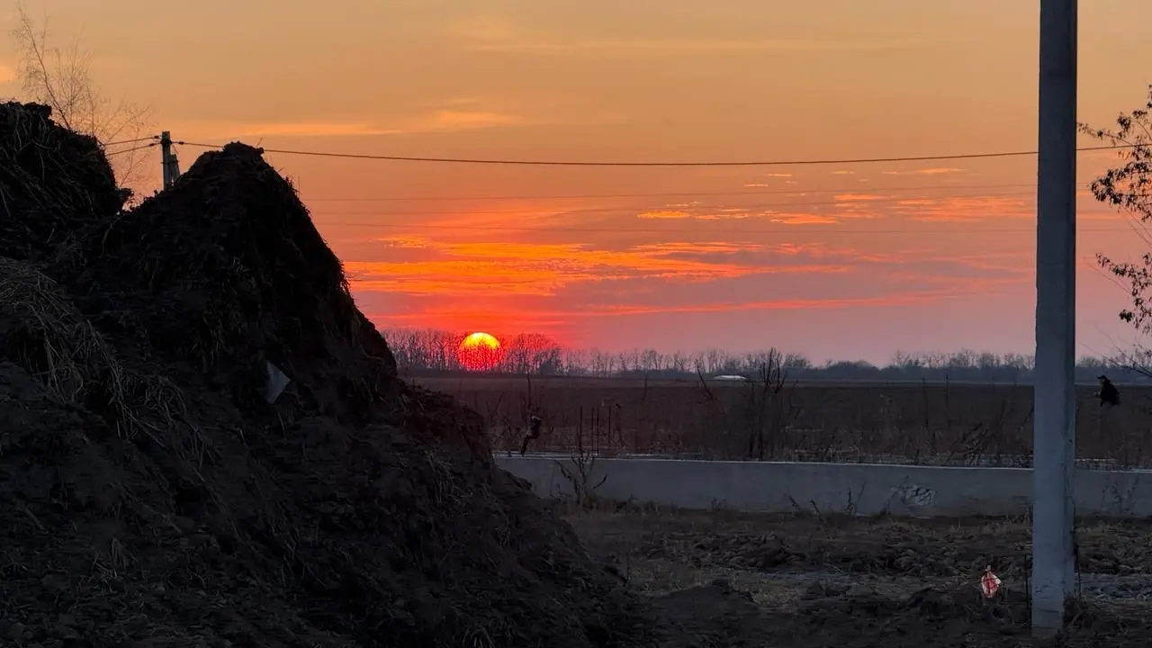 Фото Продаю земельну ділянку, Ворзель, ціна: 9500 $, код 7039