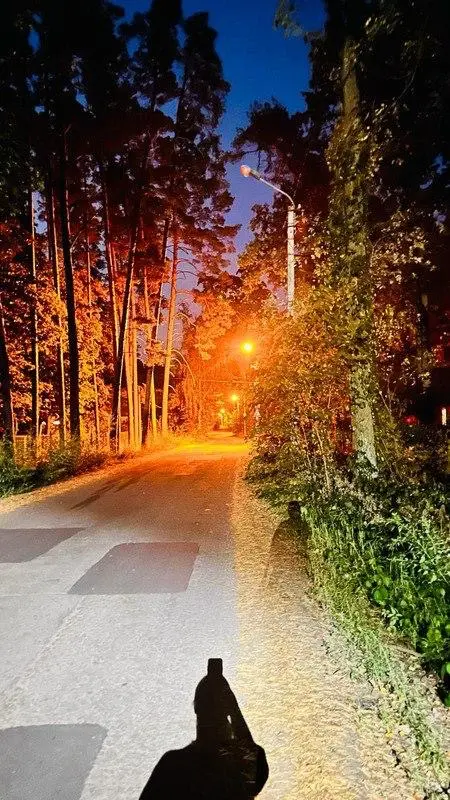 Фото Продаю земельну ділянку, Ворзель, ціна: 9500 $, код 7039