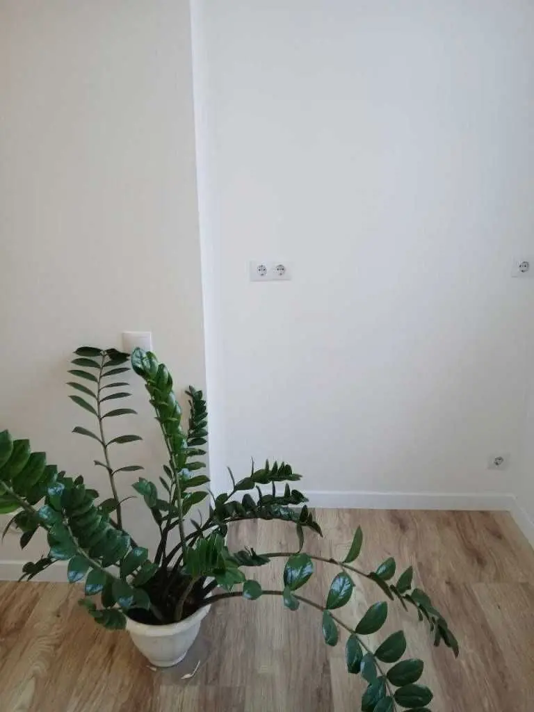 Фото Selling a 1-room apartment, 24 sq.m., Kholodnoyarska street (Bryansky Lane) 7 Kharkiv, price: 1205655 UAH, code 7047