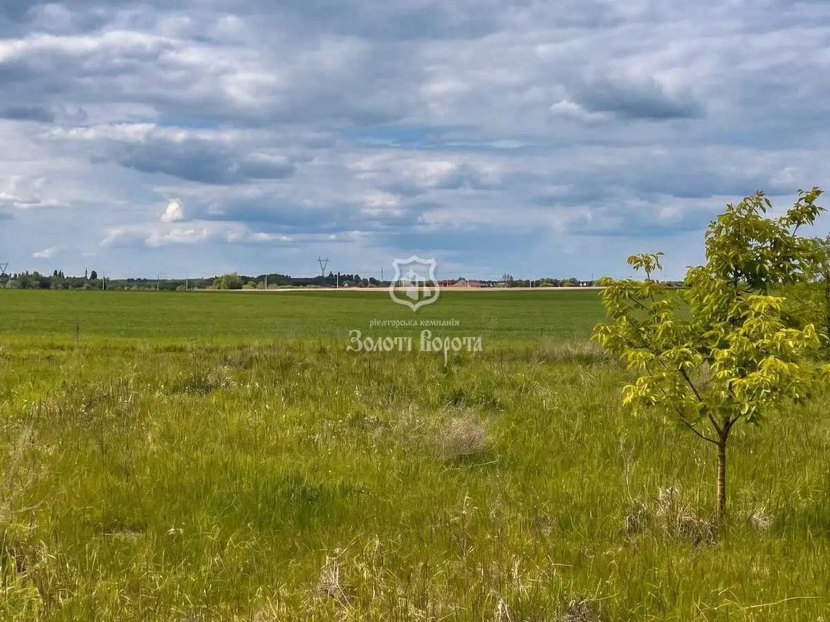 Фото Продаю земельну ділянку, Личанка, ціна: 22000 USD, код 7052