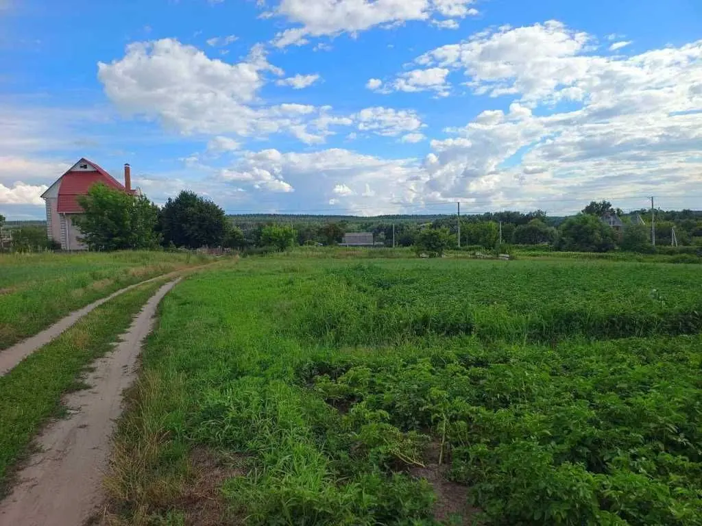Фото Продаю земельну ділянку, Васильківська вул. (Ватутіна)  Здорівка, ціна: 18000 USD, код 7131