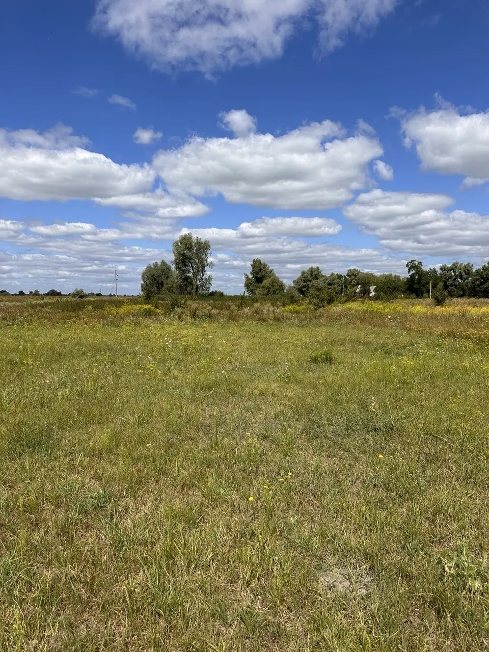Фото Selling a land plot, Khutirska street  Hoholiv, price: 11500 $, code 4433