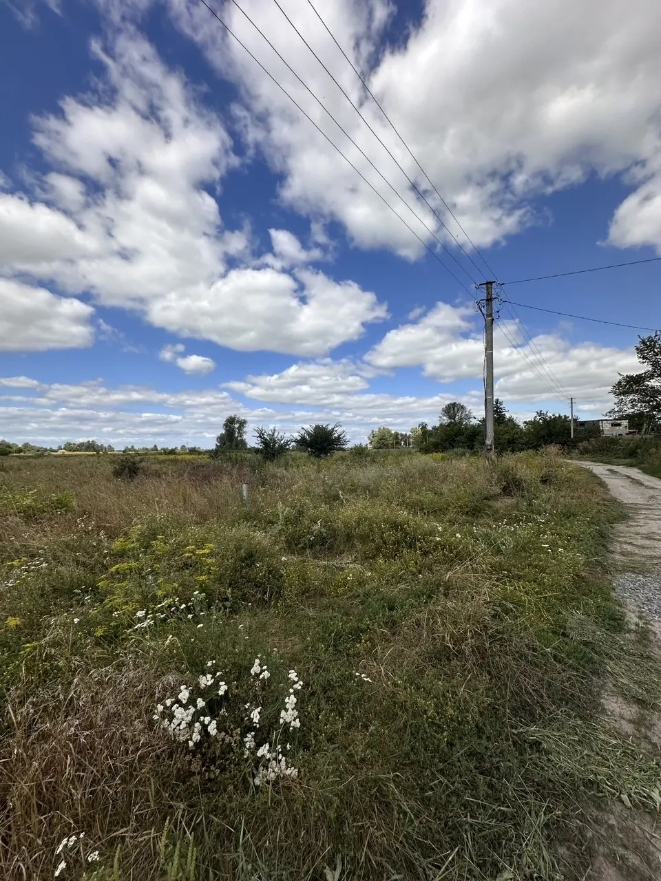 Фото Selling a land plot, Khutirska street  Hoholiv, price: 11500 $, code 4433