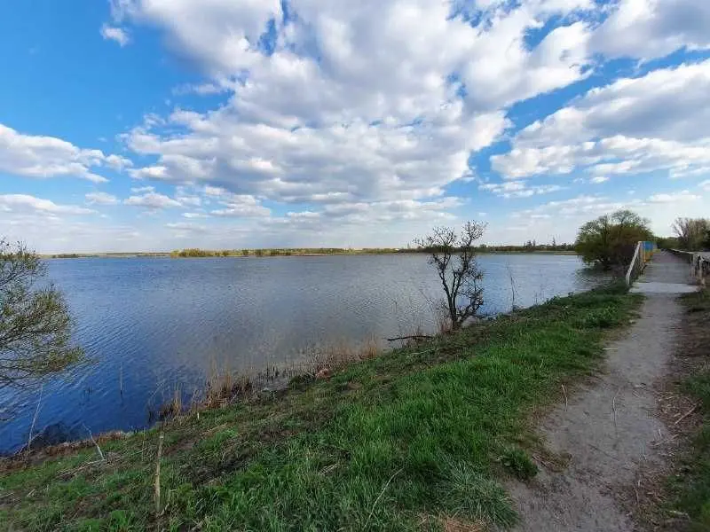 Фото Продаю земельну ділянку, Трушки, ціна: 26500 USD, код 7438