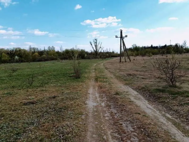 Фото Продаю земельну ділянку, Трушки, ціна: 26500 USD, код 7438