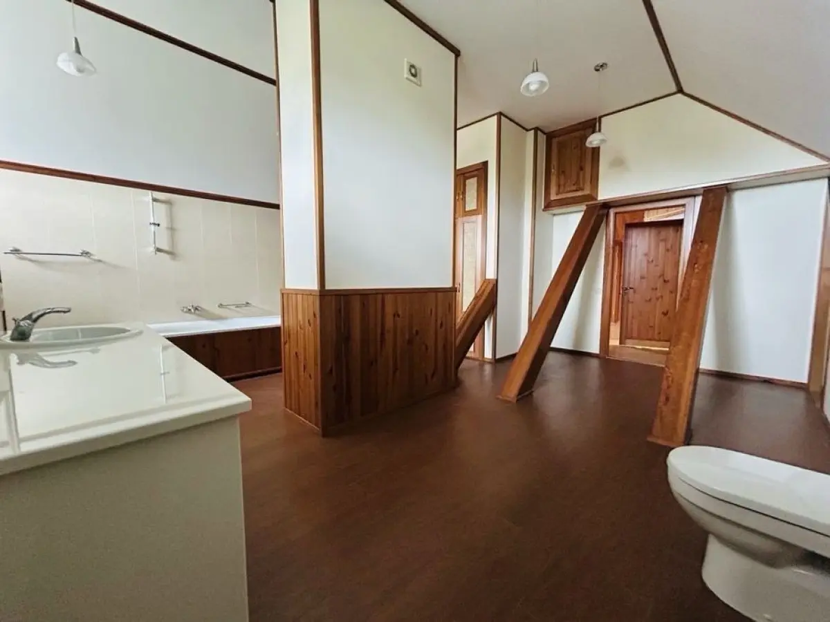 Фото Selling a house, 544 sq.m., Lisna Street  Dmytrivka, price: 500000 $, code 7458