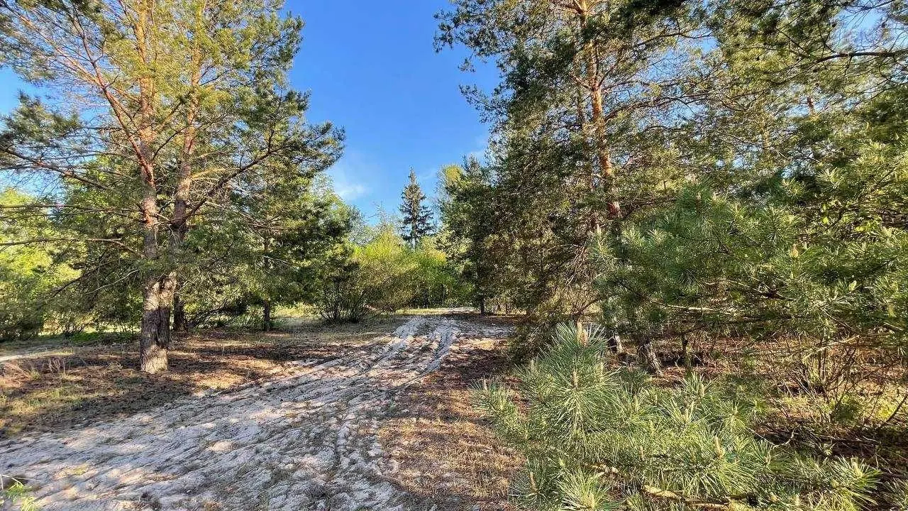 Фото Продаю готовий бізнес, 1000 кв. м, Погреби, ціна: 850000 USD, код 7582