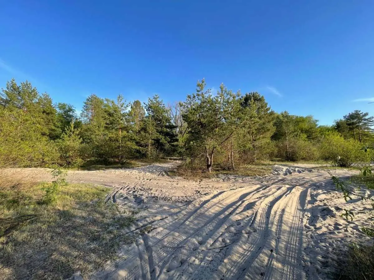 Фото Продаю готовий бізнес, 1000 кв. м, Погреби, ціна: 850000 USD, код 7582