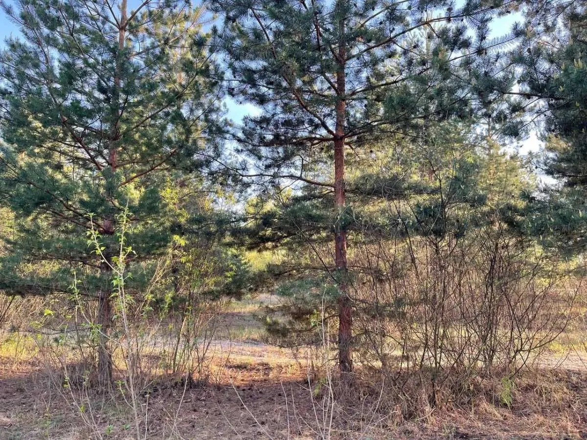 Фото Продаю готовий бізнес, 1000 кв. м, Погреби, ціна: 850000 USD, код 7582