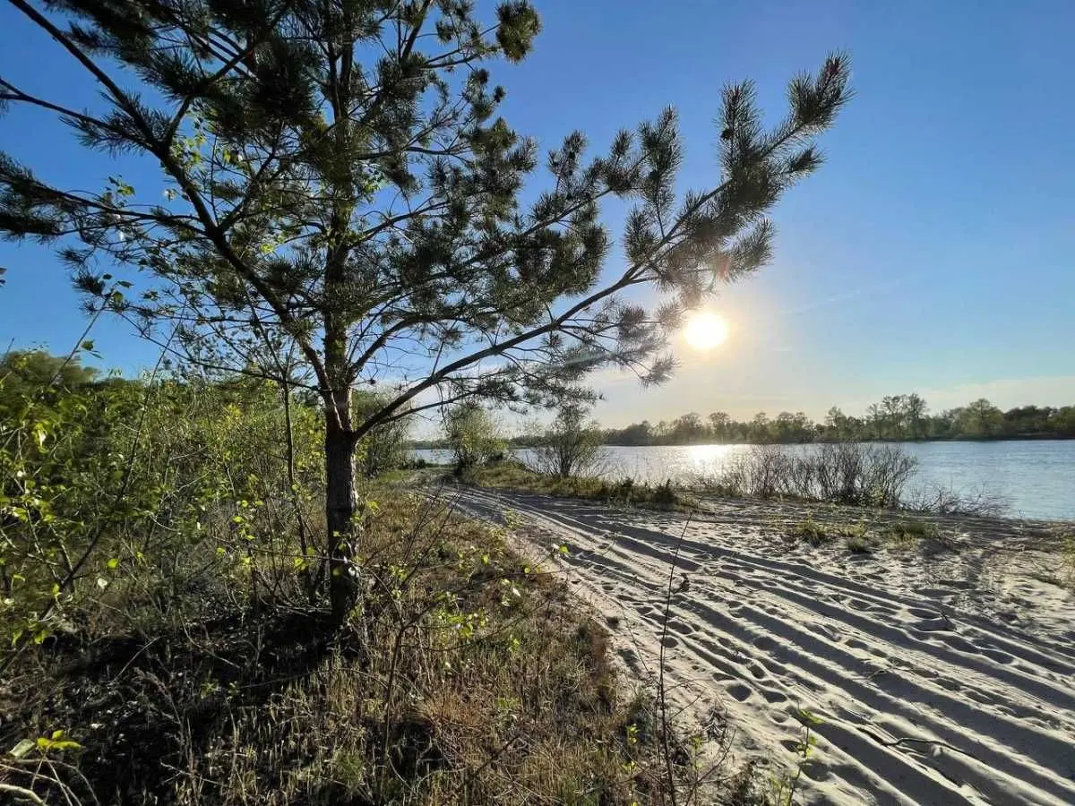 Фото Продаю готовий бізнес, 1000 кв. м, Погреби, ціна: 850000 USD, код 7582