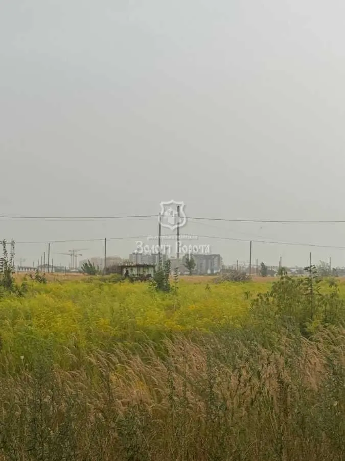 Фото Selling a land plot, Petropavlivska Borschahivka, price: 80000 USD, code 7618