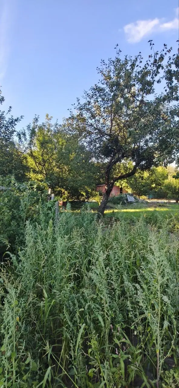 Фото Продаю будинок, 62 кв. м, Михайла Стельмаха вул. 2 Львів, ціна: 140000 $, код 7635