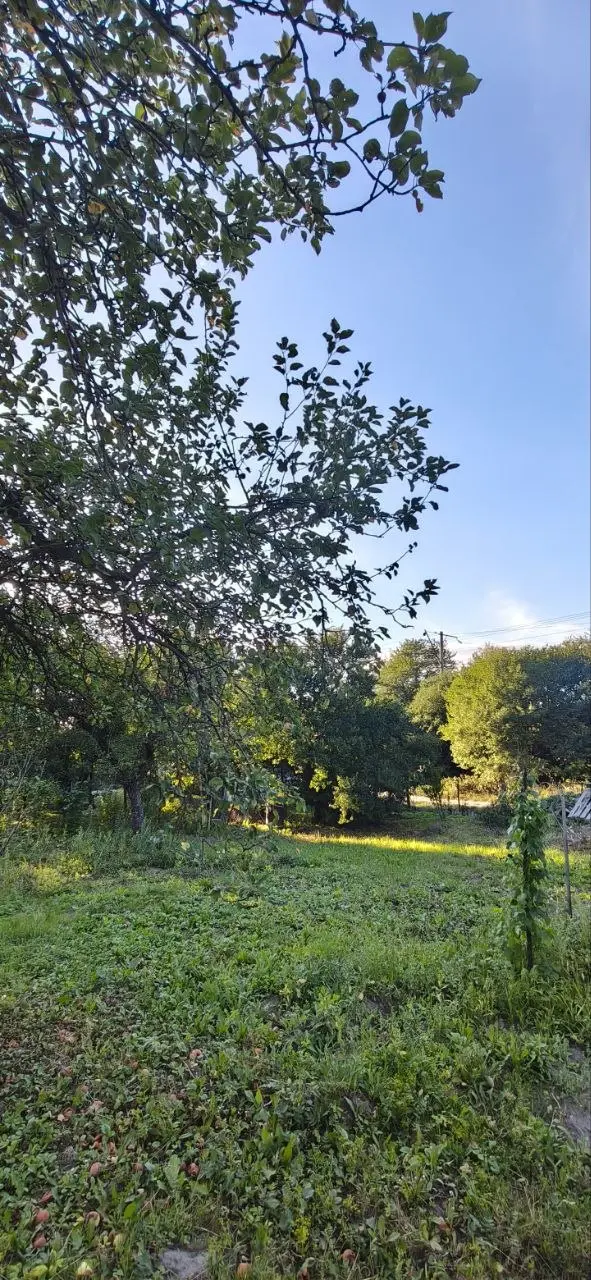 Фото Продаю будинок, 62 кв. м, Михайла Стельмаха вул. 2 Львів, ціна: 140000 $, код 7635
