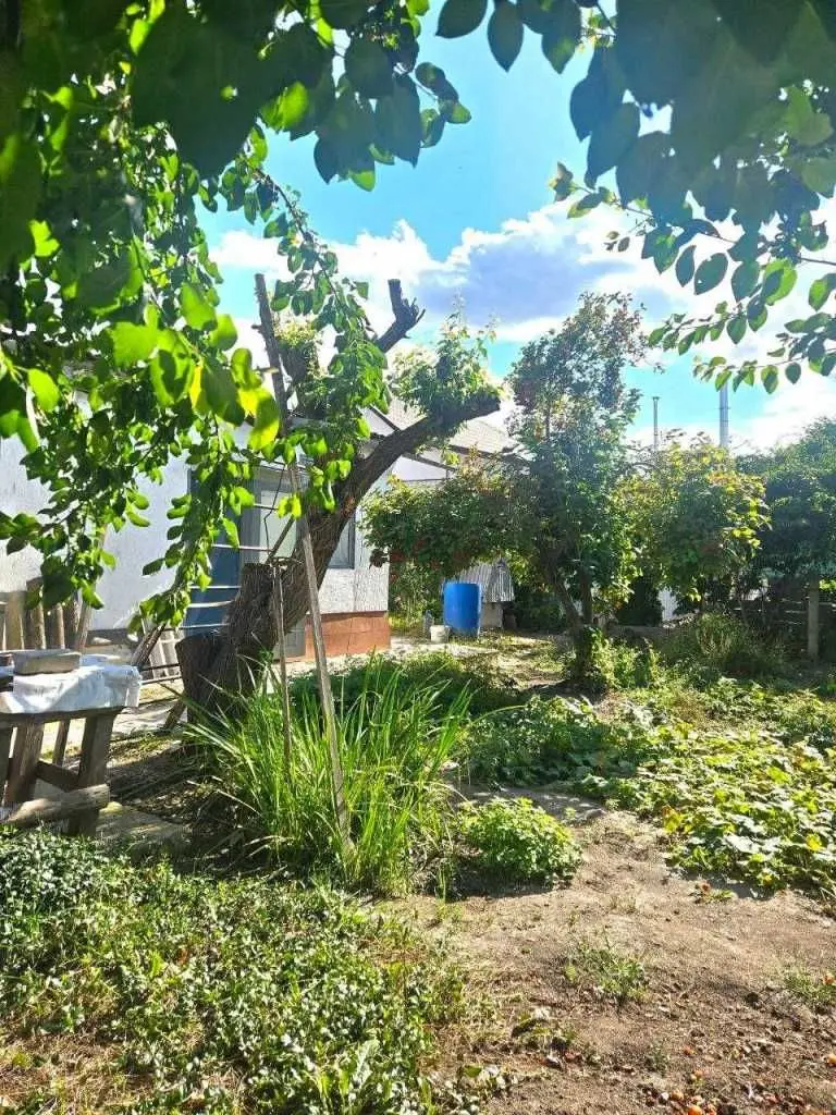 Фото Selling a 3-room apartment, 88.4 sq.m., Vasylkiv, price: 52000 USD, code 7759