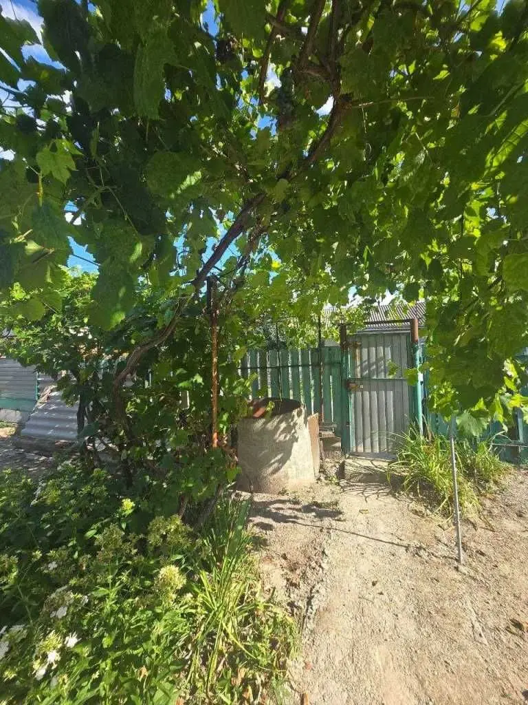Фото Selling a 3-room apartment, 88.4 sq.m., Vasylkiv, price: 52000 USD, code 7759