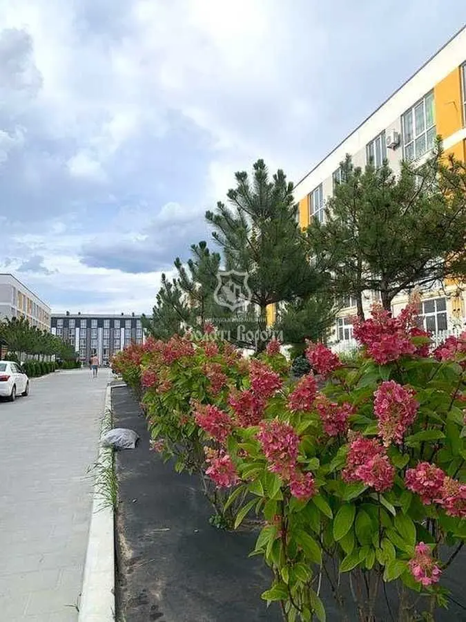 Фото Selling a 1-room apartment, 21.05 sq.m., Bohdana Khmelnytskoho Street  Svyatopetrivske, price: 21000 USD, code 7787