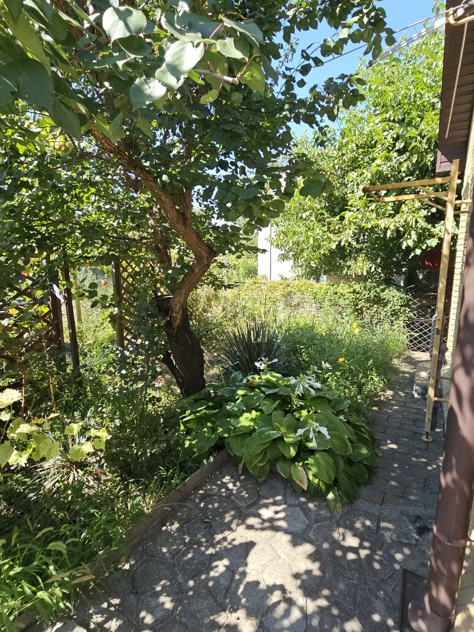 Фото Продаю будинок, 77 кв. м, Відпочинку вул.  Дніпро, ціна: 60000 $, код 7810