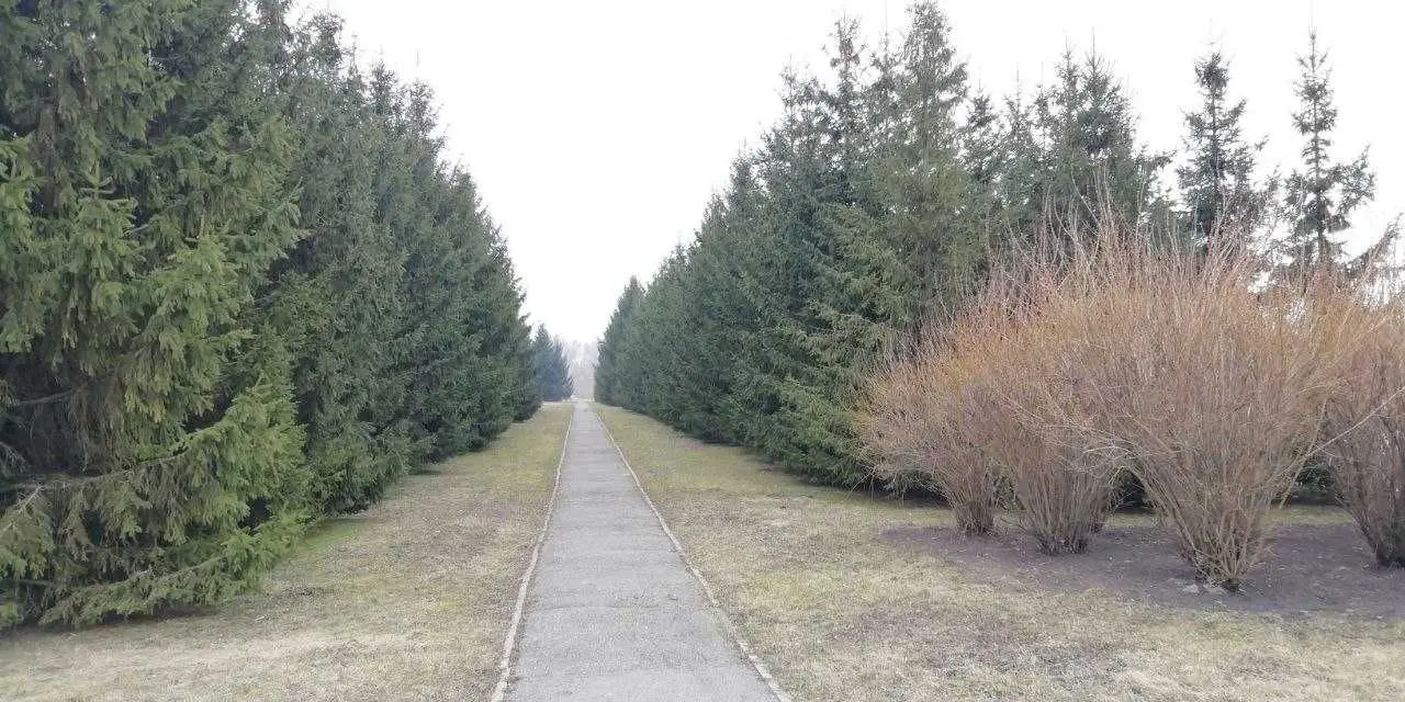 Фото Selling a land plot, Vinnytski Stavy, price: 30000 USD, code 7834